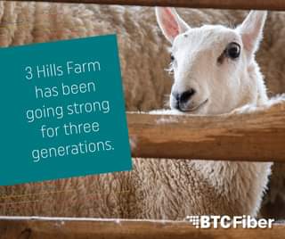 May be an image of animal and text that says '3 Hills Farm has been going strong for three generations. BTc BTFiber'