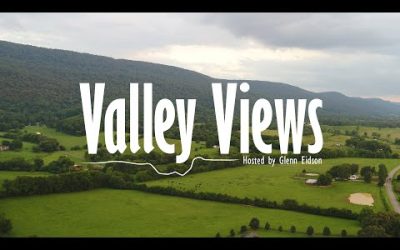 Valley Views – Honeybee Motel