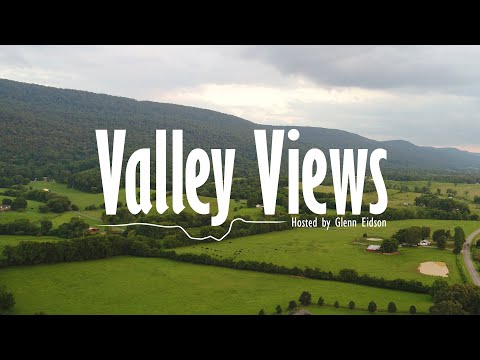Valley Views – Honeybee Motel